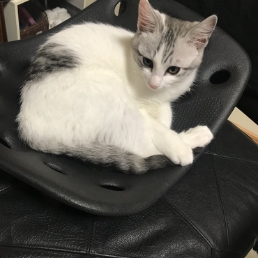 いいゆりかご見つけたねぇ(≧∀≦)