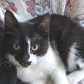 モフモフ甘えんぼ・かわいいMINMIちゃん☆