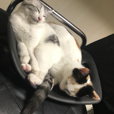 狭いところによくはまるわ（笑）