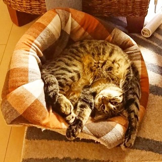 天真爛漫「蘭丸」くん！