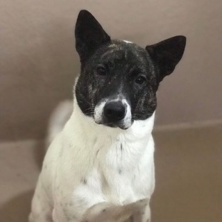 シャイですが仲良くなるととっても甘えん坊なひとみん