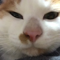 あろま