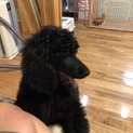 3名候補の方から選びます。