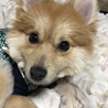の写真