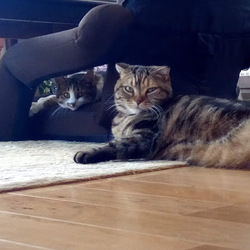 「World Pressで毎日ブログ更新中！」サムネイル2