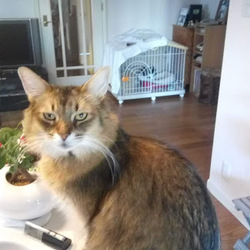 「World Pressで毎日ブログ更新中！」サムネイル3