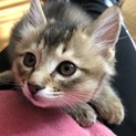 ふわふわ可愛い男の子♡