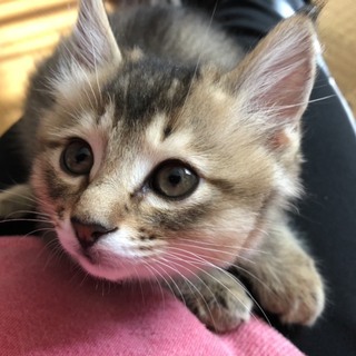 ふわふわ可愛い男の子♡