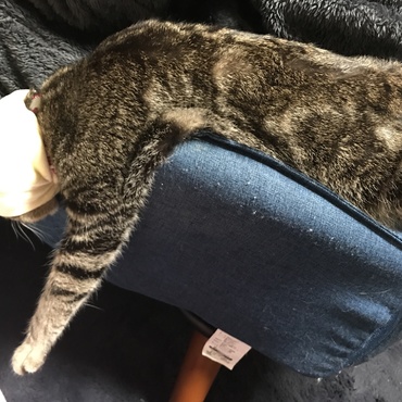 だらーん