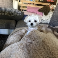 らら
