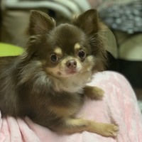 ぽんず