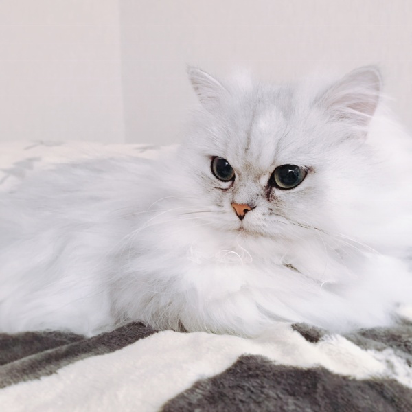 marie