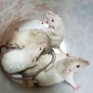 付け加える件があり再投稿し直しております。