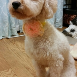 こちら、ご無沙汰しております