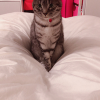 ちゃぴ
