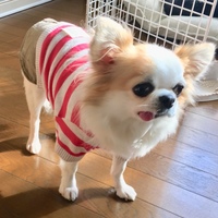 ナナ