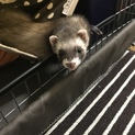 緊急です！！