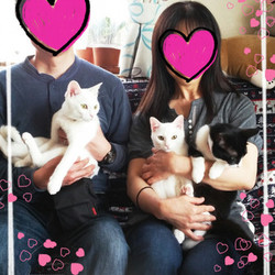 正式譲渡♥ミュウ&ユキト（クゥ）