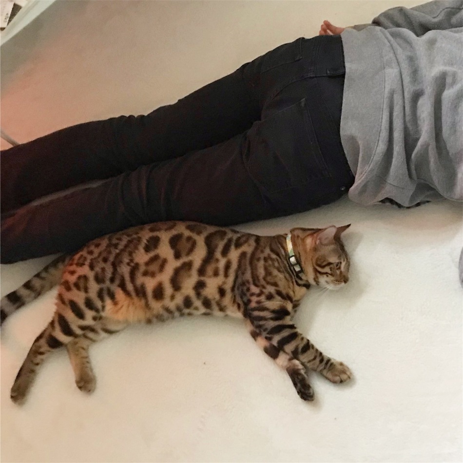 ミントのカバー写真