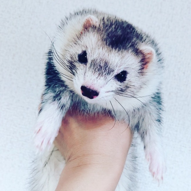 ゆいみーのカバー写真