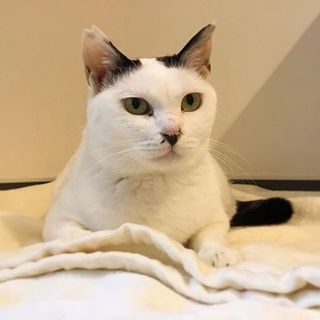 【キキ】甘えん坊が止まらない