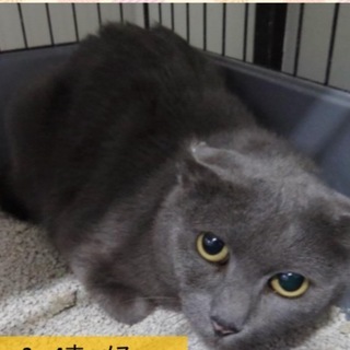 延長厳しく週明けが期限です