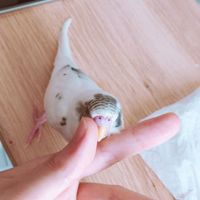 るり