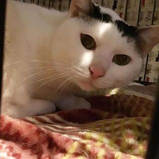 【パンタロー】控えめスリッが可愛い