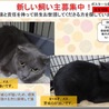 延長厳しく期限が迫っています サムネイル2