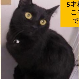 人大好き！延長厳しく期限が迫っています！