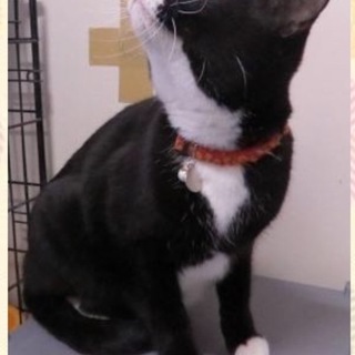 人大好き！延長厳しく期限が迫っています！