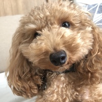 Kiki