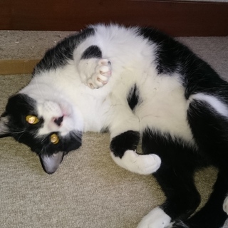 甘えん坊、かなくん。