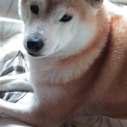 ♥今日で出逢って丸2年♥