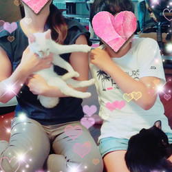 正式譲渡♥ひまわり