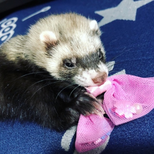 kanipancoのカバー写真