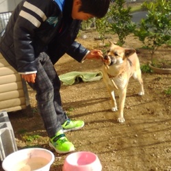 サンダーのお嫁さん