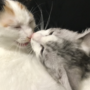 ずっとふたり仲良しでいようね♡