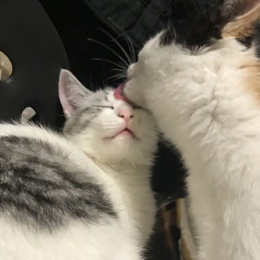 ほぉぉ〜♡   気持ちよさそ（笑）