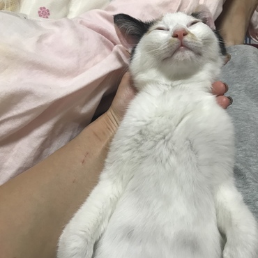 わかめちゃん、目が開いたままだよΣ（・□・；）