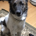 キー坊、2歳