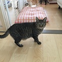 母性たっぷり優しい冬花ちゃん(^^)