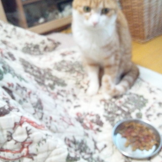 小柄で可愛いです！