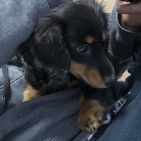 なな