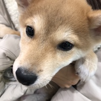 ゆう