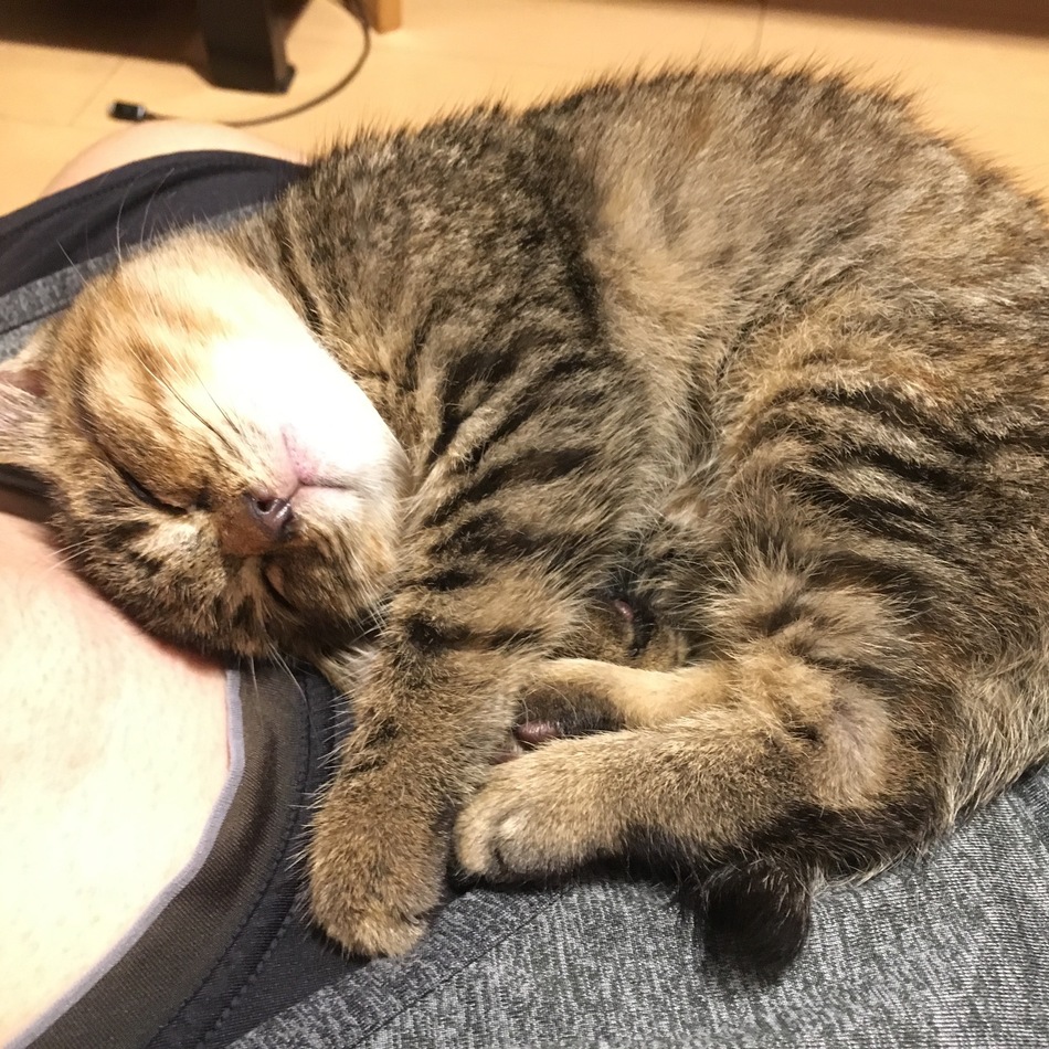 エマのカバー写真