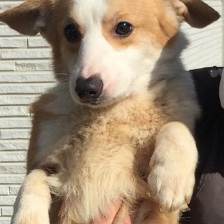 人懐こいつぼみちゃん/有難うございました！