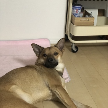 の写真