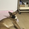 の写真