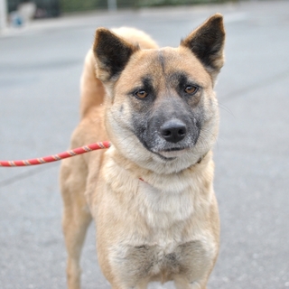 若くて控えめ女子の「咲(さき)ちゃん」